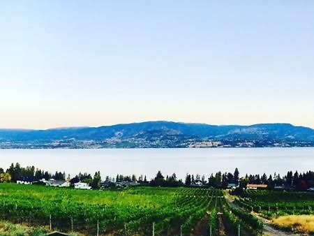 Bed and Breakfast Summerhill Estate House Kelowna Exteriér fotografie