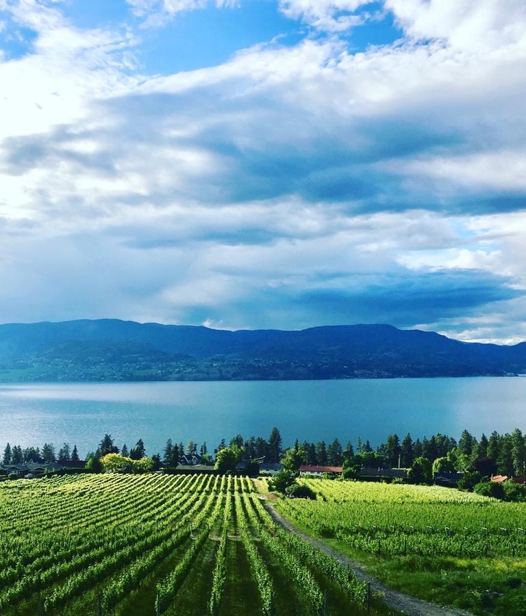 Bed and Breakfast Summerhill Estate House Kelowna Exteriér fotografie